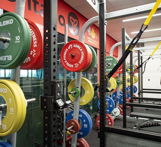 Canadian Sport Institute Of Ontario